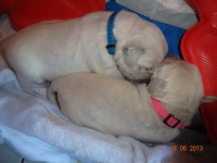 /album/fotogalerie/stenatka-075-jpg/